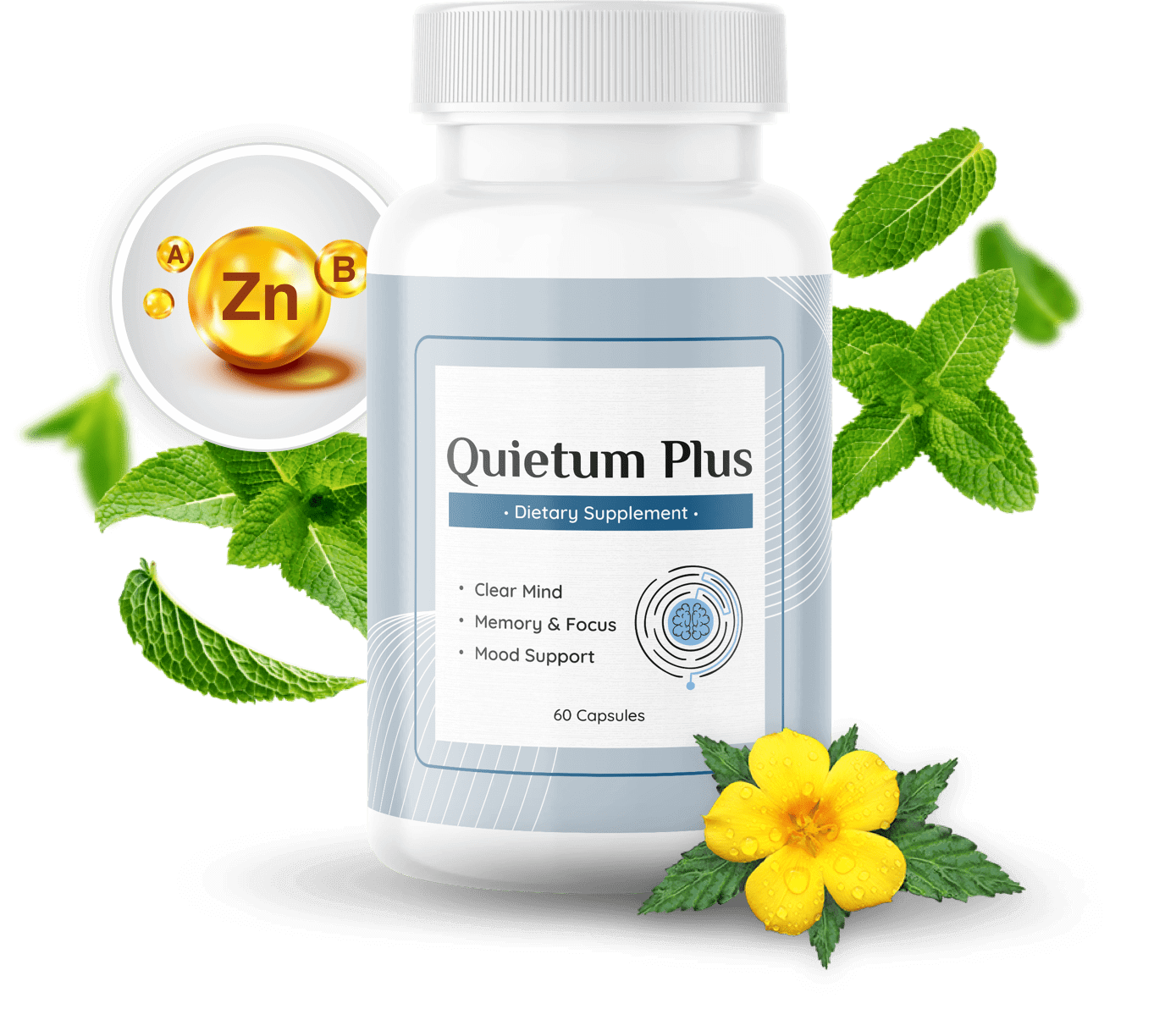 Quietum Plus Review