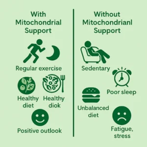 boost mitochondria naturally